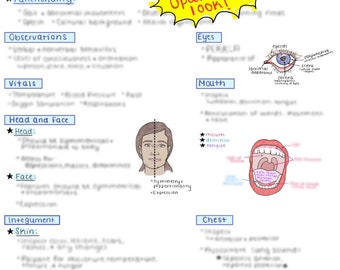 Head-to-Toe Assessment Study Guide for Nurses