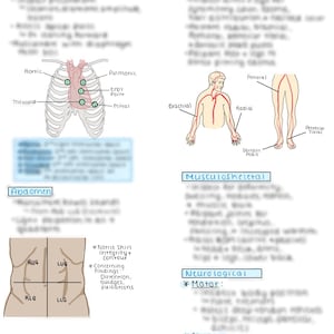 May include: A medical illustration showing the locations for taking vital signs on the human body. The illustration shows the heart, abdomen, and peripheral vascular system. The illustration includes text labels for the heart, aortic, tricuspid, pulmonic, Erb's Point, mitral, brachial, radial, femoral, posterior tibial, dorsalis pedis, RUQ, LUQ, RLQ, LLQ.