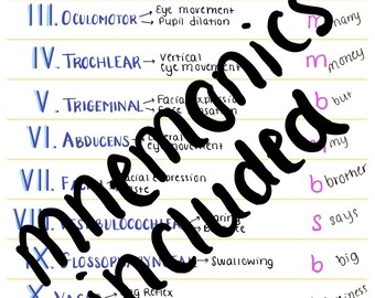 Cranial Nerves Study Guide: Nursing Anatomy & Physiology (PDF