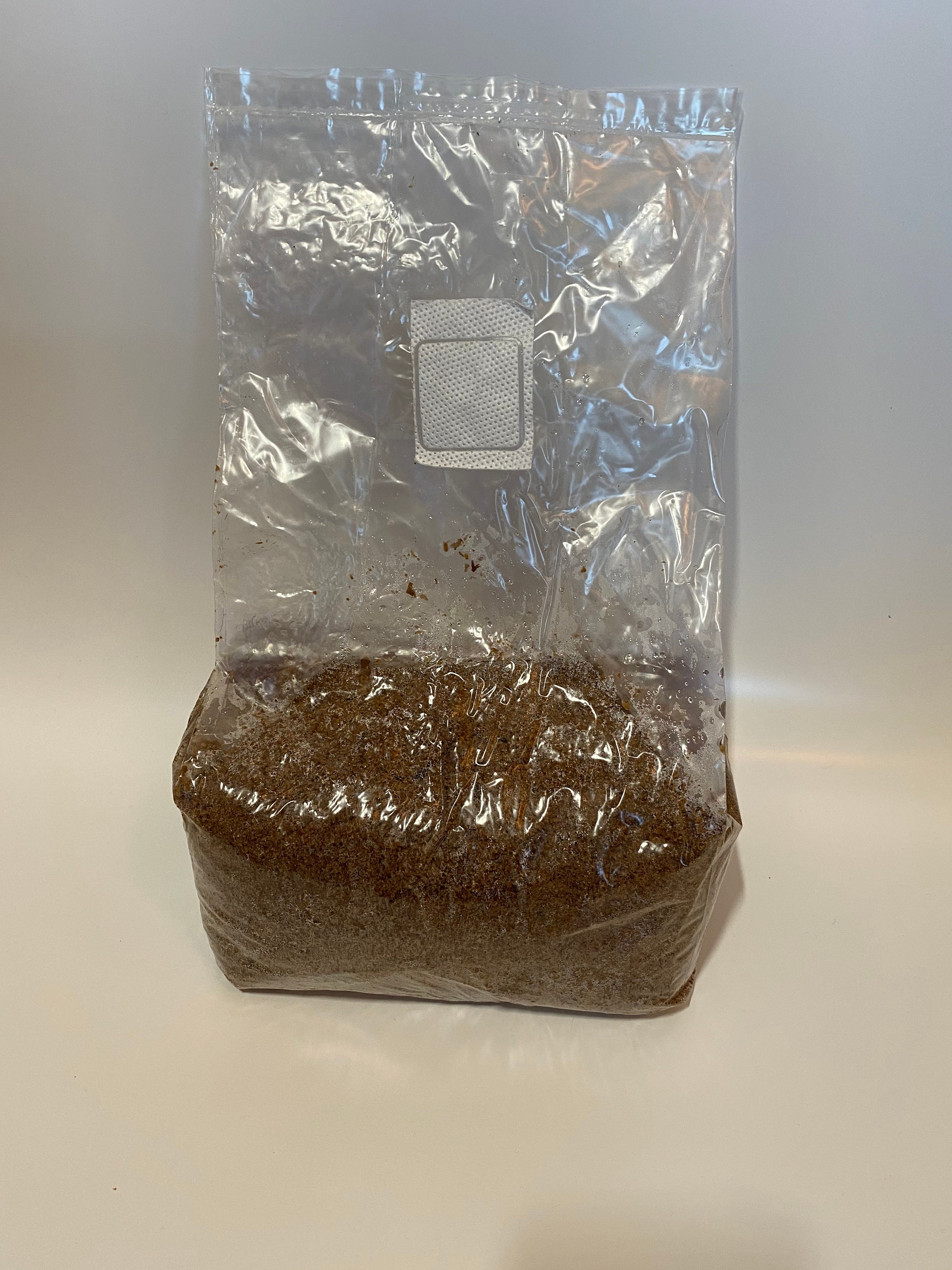 Mushroom Grow Bags 100pcs. 20x12x50 cm 0.2 micron filter Etsy