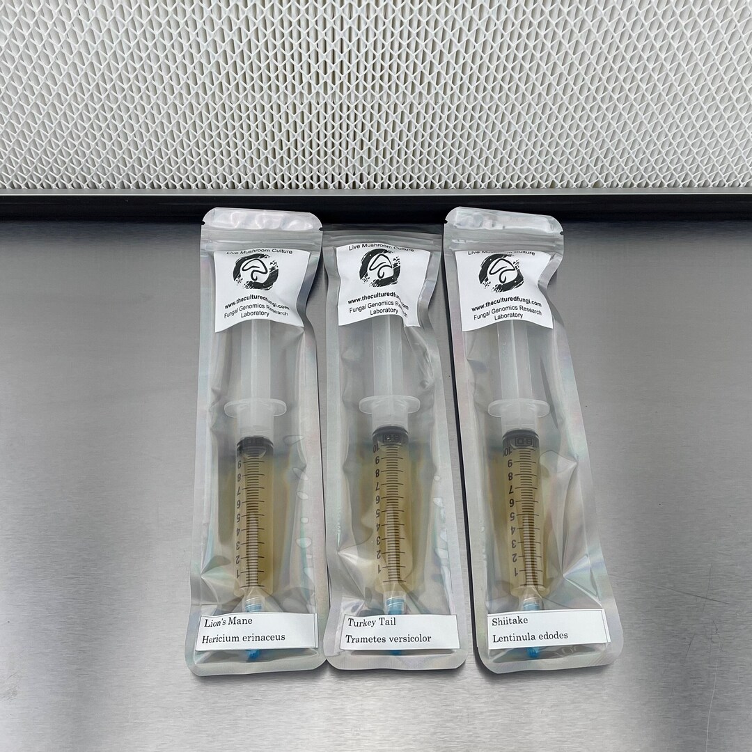 3 Pack Mushroom Liquid Cultures commercial Mushroom Cultures Nature's Health Kit Lion's Mane