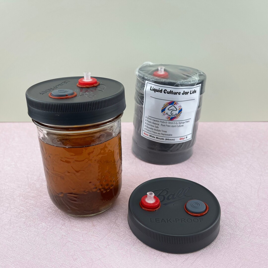 6 Pcs. Wide Mouth Liquid Culture Jar Lids Autoclave Safe Etsy