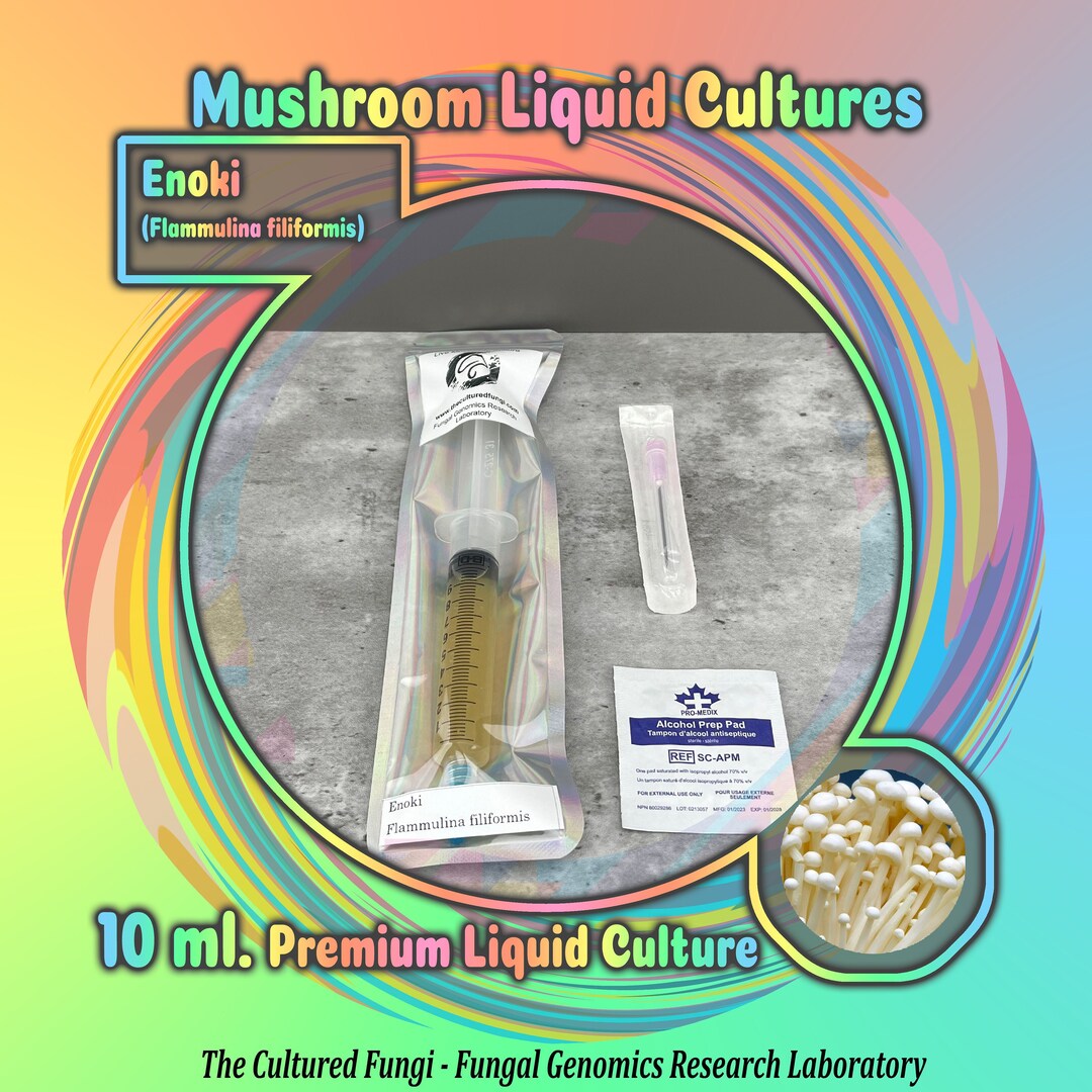Enoki Mushroom Liquid Culture 10 Ml. flammulina Filiformis Etsy Canada