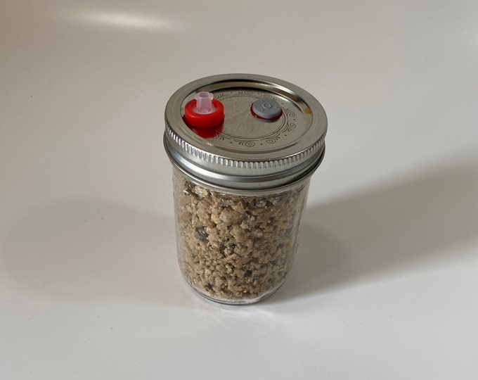 Sterilized Organic Rye Grain Mushroom Spawn Jars Perfect Etsy Canada