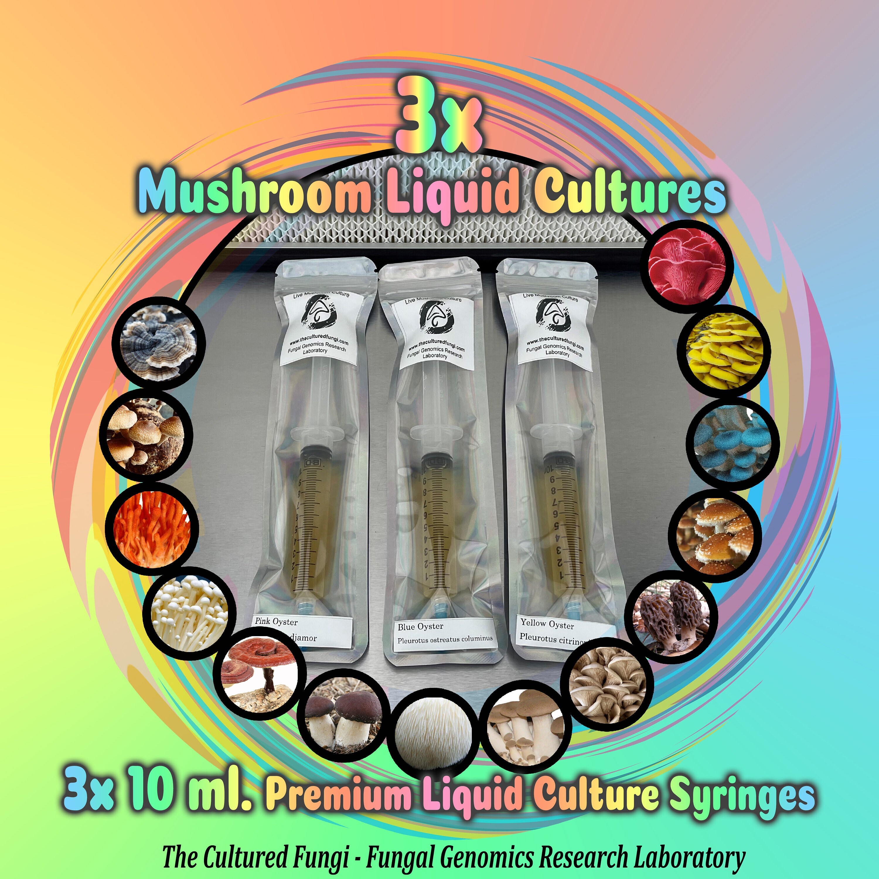 3 Pack Mushroom Liquid Cultures commercial Grade Premium