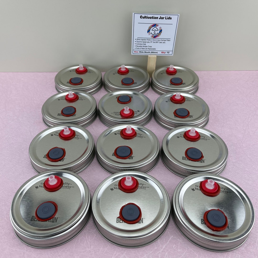 Mushroom Spawn Jar Lids 12 Lids Widemouth Etsy