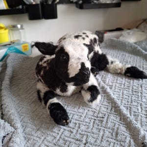 Puede incluir: Un peluche de cordero con manchas negras y blancas está tumbado sobre una manta gris clara estampada. El cordero tiene orejas, ojos y pezuñas negras. El juguete es suave y tierno.