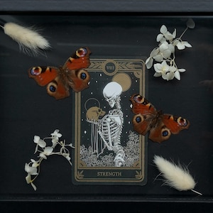 Pauwenvlinders a rencontré tarotkaart Force