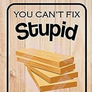 【中古】 You Can’t Fix Stupid RonWhite 中古】 You Can't Fix Stupid RonWhite RON WHITE YOU CAN'T FIX