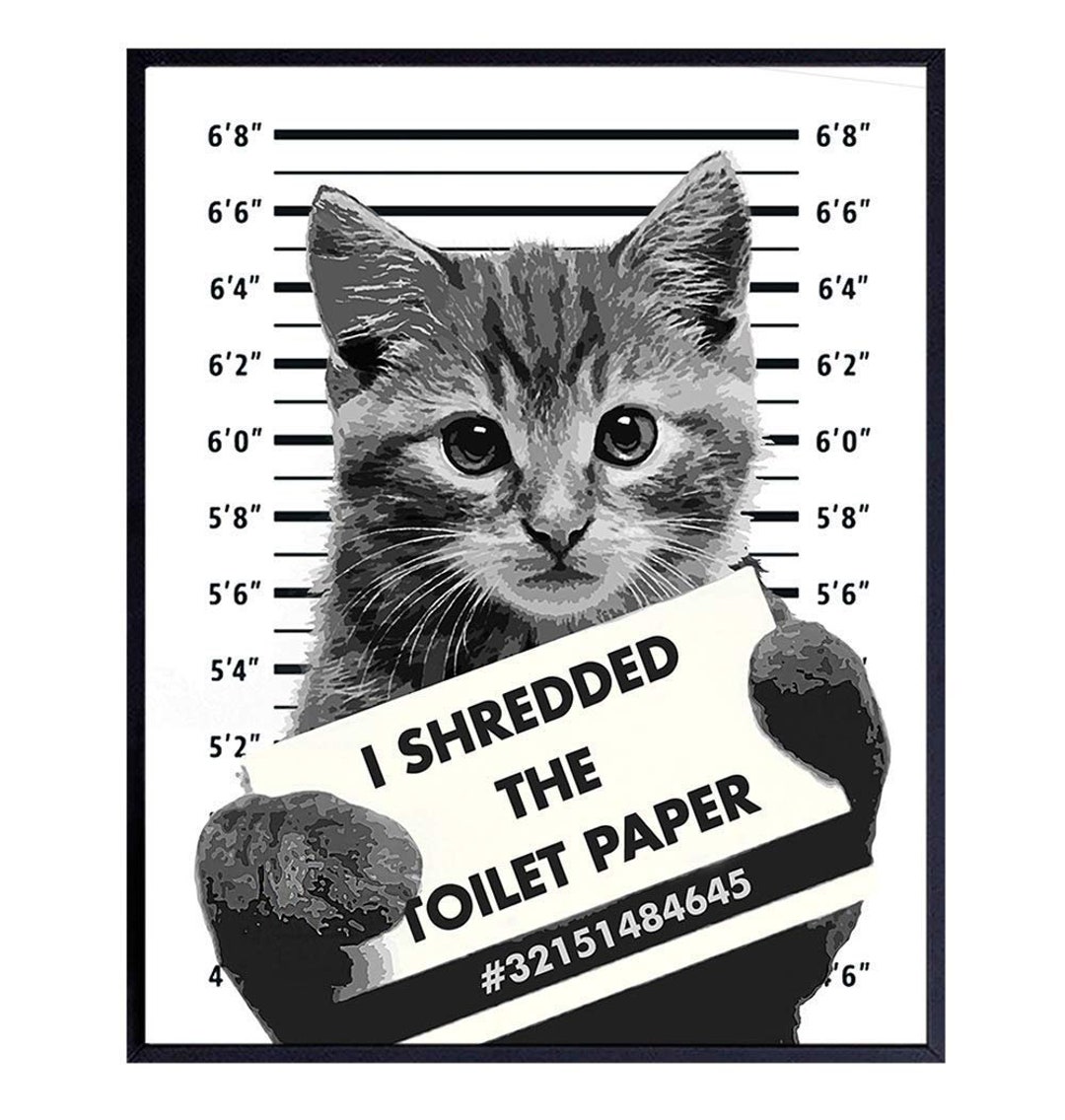 Tabby Cat Prisoner Photo I Shredded the Toilet Paper DIY Etsy