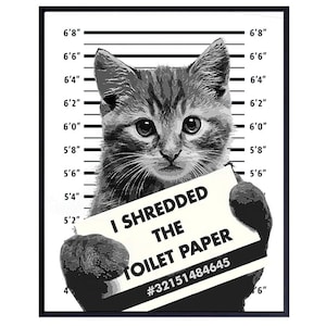 Photo de prisonnier de chat tigré, j'ai déchiqueté le papier toilette DIY imprimable REdimensionnable Lire la fiche complète avant l'achat Téléchargement instantané du fichier numérique