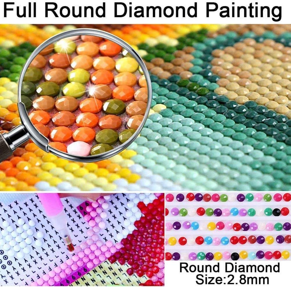 Aazon.co: Pigpigboss Pug Diaond Painting Kit 5D Full Round Diaond Painting All You Need Is