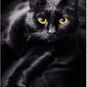 Black Cat Diamond Painting Kit: DIY 5D Art, Home Decor