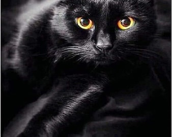Black Cat Custom DIY 5D Round or Square Full Drill Diamond Painting Kit with ALL Tools Unique AI Designed Wall Art Choose Your Print & Size