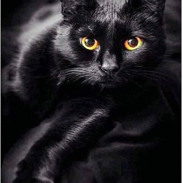 Black cat 5d diamond DIY art full drill Round embroidery painting kit | home wall art décor | 11.8x15.7in | the perfect relaxation gift idea