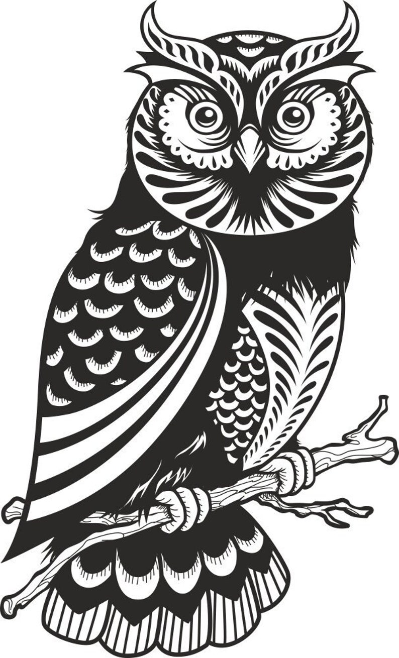 May include: A monochrome illustration of an owl, depicted perched on a branch. The owl features intricate feather detailing and large eyes. The artwork is a stylized representation of the bird.