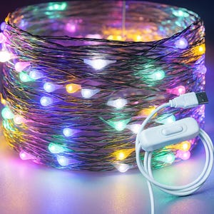USB Fairy Lights: 100 LED Copper Wire String Lights (33 ft)