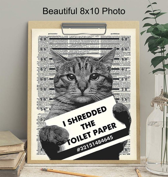 Tabby Cat Prisoner Photo I Shredded The Toilet Paper Diy - Etsy