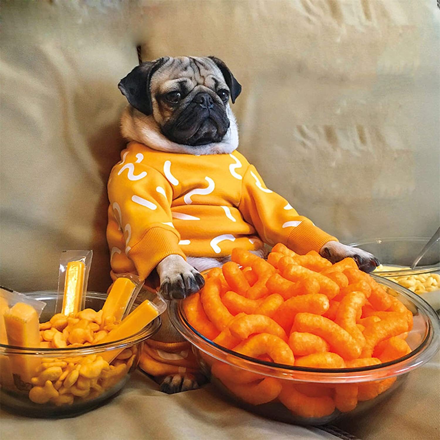 Pug & Cheetos 5D Diamond Art Kit: DIY Home Wall Decor (15x15