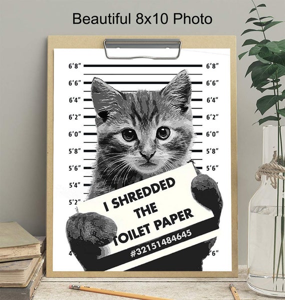 Shredded Paper Cat Litter Made Of Paper Tabby Cat Prisoner Art