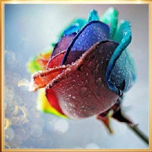 Colorful rainbow rose embroidery paint cross stitch craft diy 5d diamond painting by number kit canvas 11.8&quot;x11.8&quot;