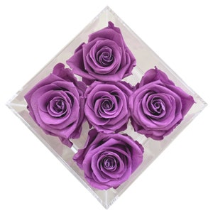 Rochelle Infinity Roses | Real Preserved Roses from Ecuador | Long-Lasting and Decorative Preserved Flowers That Last for Years