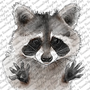 Watercolor Raccoon Png, Sublimation Digital Downland, Raccoon Drawing Png, Hand Drawn, Digital Download, Sublimation PNG