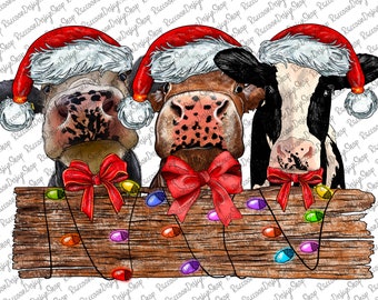 Christmas Cow, Cow Png, Mooey Christmas, Sublimation Design, Sublimation, PNG, Sublimation Designs Dowland, Cow Christmas Png