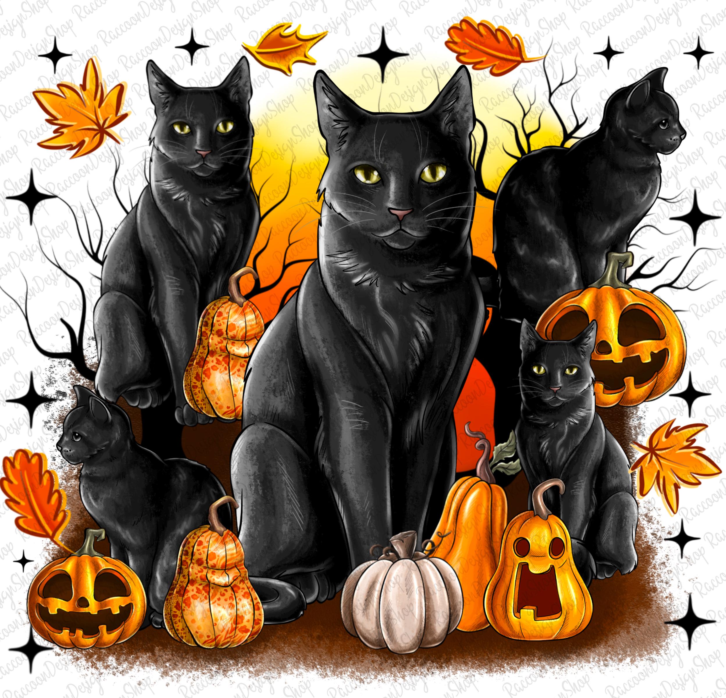 ハロウィンの黒猫かぼちゃPNG昇華デザイン、かぼちゃと赤ちゃん