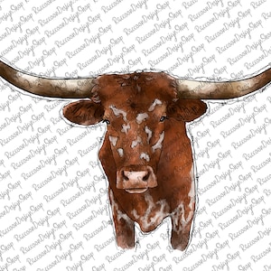 ◆LEE◆ Kansas Cow Watercolor Graphic T-Shirt White 71hYXHlm3WL._AC_SX466_.jpg
