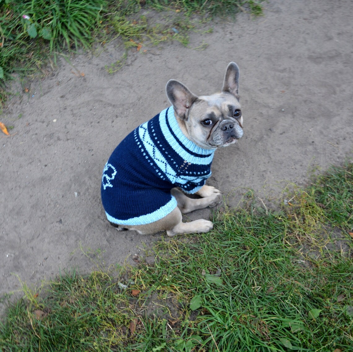 Clothes for french bulldog with ornament and embroidery. Etsy
