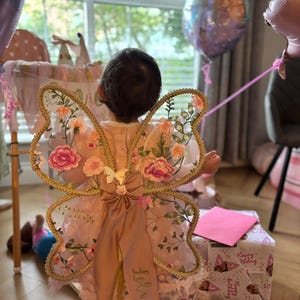 May include: A light pink dress featuring sheer butterfly wings adorned with embroidered pink and orange floral patterns. The wings are accented with a central satin bow and a long ribbon tail embroidered with the name Lola in cursive script.