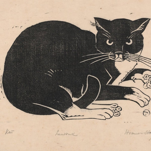 Cat by Henri van der Stok - Postcard