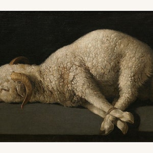 Agnus Dei by Francisco de Zurbaran - c. 1635