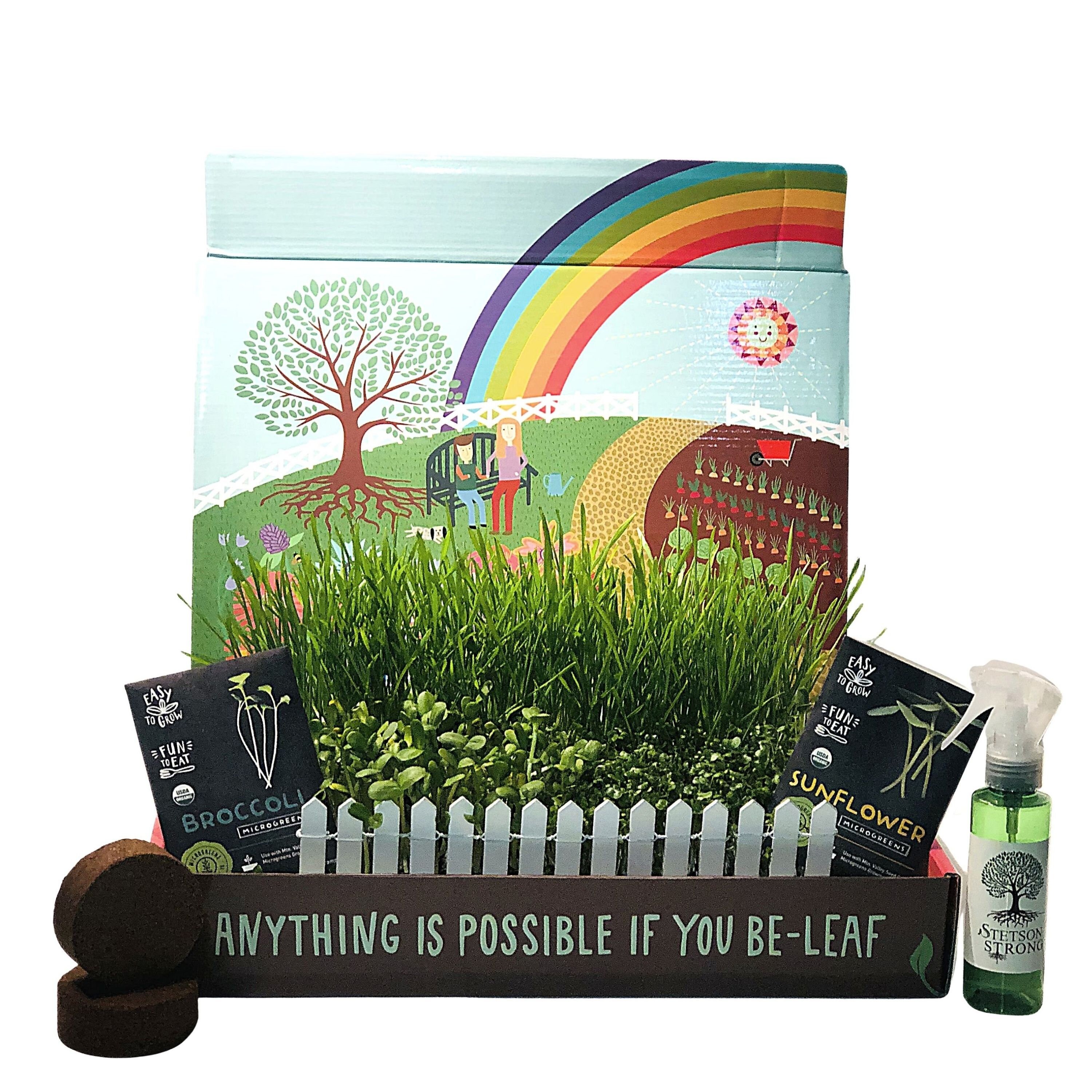 Indoor Organic Microgreen Seed Starter Kit 100 Organic Etsy