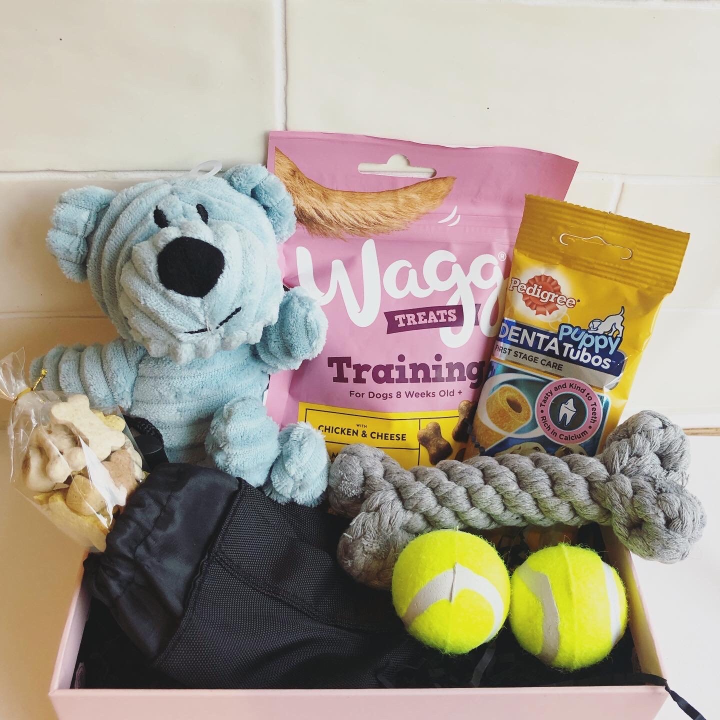 Puppy Starter Kit New Puppy Essentials Puppy Gift Box Etsy UK