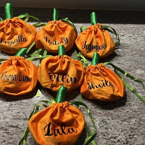 Pu&ograve; includere: Sette sacchetti di tessuto arancioni a forma di zucca con steli verdi e nastri di raso verdi. Ogni sacchetto &egrave; personalizzato con un nome in lettere nere: Priscilla, Natily, Jasmine, Emma Luna, Dellin, Sheika e Lala.
