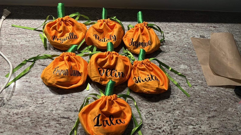 Pu&ograve; includere: Sette sacchetti di tessuto arancioni a forma di zucca con steli verdi e nastri di raso verdi. Ogni sacchetto &egrave; personalizzato con un nome in lettere nere: Priscilla, Natily, Jasmine, Emma Luna, Dellin, Sheika e Lala.
