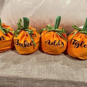 Pu&ograve; includere: Quattro sacchetti di velluto arancione a forma di zucca con steli verdi e nastri verdi. Ogni sacchetto &egrave; personalizzato con un nome: Evan, Jake, Addy e Tyler.