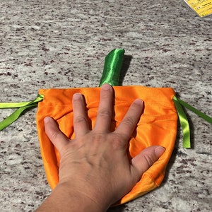 Pu&ograve; includere: Sacchetto a cordoncino di velluto arancione a forma di zucca con lacci di nastro verde e uno stelo di feltro verde.