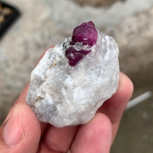 Może przedstawiać: Surowy, nieoszlifowany kamień szlachetny rubinu o głębokim czerwonym odcieniu, na tle białej i szarej skały. Kryształy rubinu są wyraźnie widoczne, prezentując swoją naturalną formę i kolor. Kamień trzymany jest w dłoni.