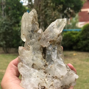 Large Terminated  Smoky Quartz Crystals with Matrix Specimen included Quartz  (P15)