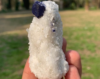 アフガニスタン産 ラズライト結晶 44.05グラム 希少なブルーラズライト結晶標本（アフガニスタン鉱山産