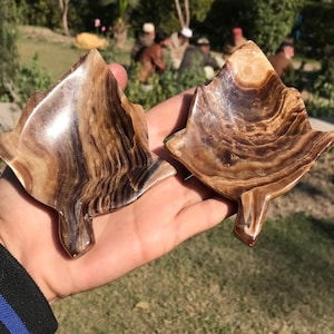 Puede incluir: Dos platos decorativos con forma de hoja. Los platos están hechos de piedra pulida de color marrón y crema con un patrón natural arremolinado. Los platos se sostienen en una mano, con un fondo borroso de vegetación y personas.