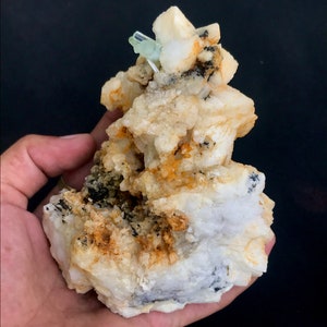 May include: A natural mineral specimen featuring a cluster of off-white, beige, and black rock formations. A small, light blue crystal is visible at the top. The mineral is held in a hand against a black background.