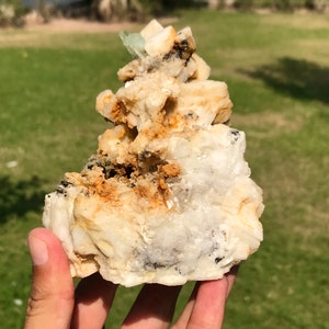 May include: A natural mineral specimen featuring a cluster of off-white, tan, and black crystals. A small, light blue crystal formation is visible at the top. The mineral is held in a hand against a blurred green background.