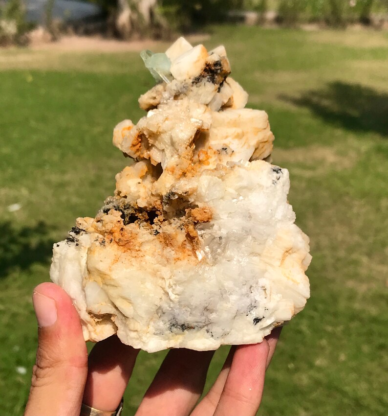 May include: A natural mineral specimen featuring a cluster of off-white, tan, and black crystals. A small, light blue crystal formation is visible at the top. The mineral is held in a hand against a blurred green background.