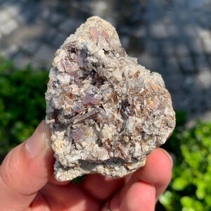 Puede incluir: Un espécimen mineral natural en bruto con una mezcla de colores. La roca presenta una base de gris claro y blanco, con capas incrustadas de estructuras cristalinas rojizo-marrones y translúcidas. La textura general es áspera y desigual.