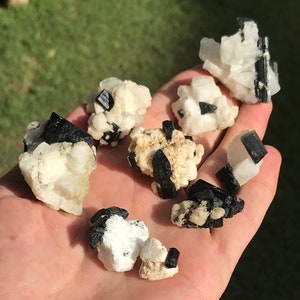May include: A collection of raw black tourmaline crystals with white quartz matrix. The crystals vary in size and shape, with some displaying sharp, defined edges and others appearing more rounded. The crystals are held in a hand against a blurred green background.