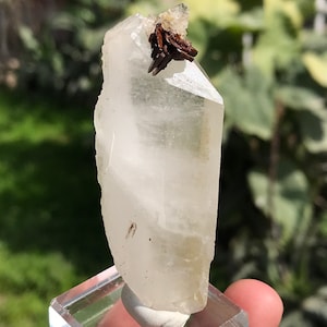 Natural Faden Quartz Crystal With Rare Brookite Crystals / Blades Cluster Crystal  From Baluchistan  (00)